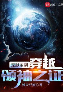 变形金刚：穿越领袖之证