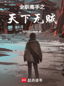 全职高手之天下无贼