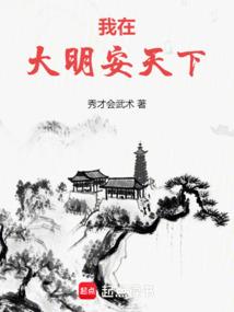 我在大明安天下